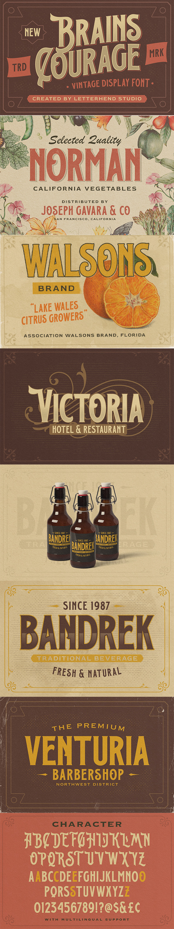 Brains Courage sample image